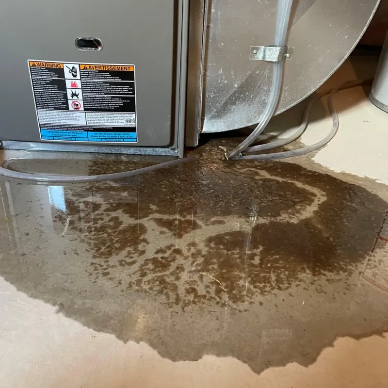 Appliance Leak Cleanup in Ragland, AL